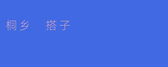 桐乡 搭子
